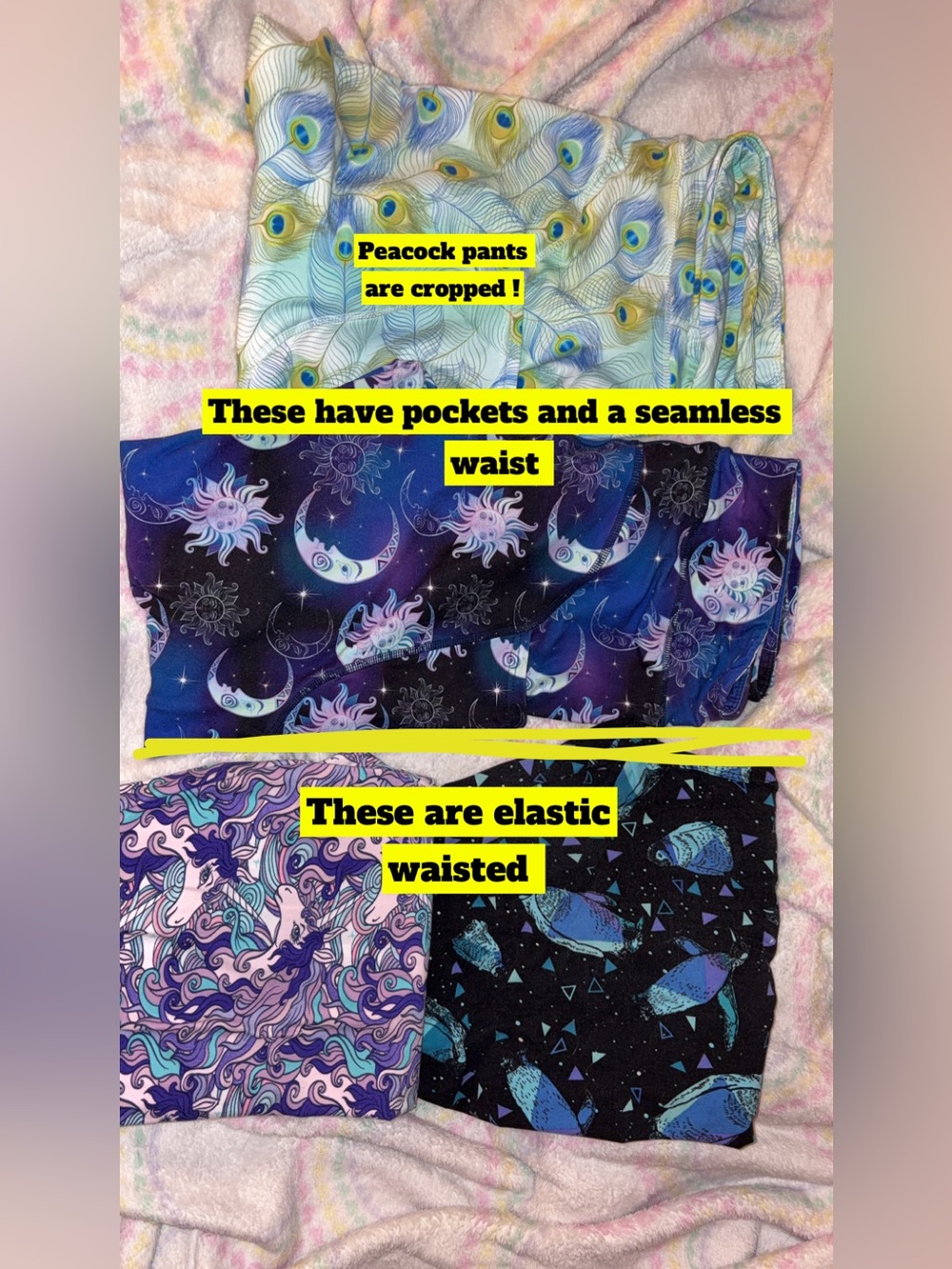 Sweetlegs price for all